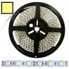 Taśma 5050 LED 300 IP65 biała ciepła 5mb 12V DC