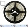 Taśma 3528 LED 300 IP20 biała zimna 5mb 12V DC