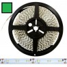 Taśma 3528 LED 300 IP65 ZIELONA 5mb 12V DC
